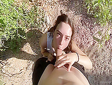 Stellaviolet Blows Around Nature 4