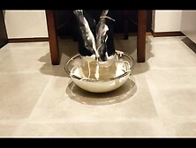 Dipping Ebony Pantyhose in White Goo