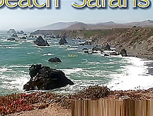 Beach Safaris 21