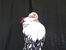 Gwen Stacy Superheroine JOI