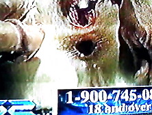 paige st claire or paige sinclair vs lexington steel trailer