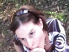 Austria Maus - Wochenendausflug Boot Wald