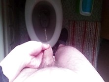 Teen Pisses In Toilet (Short Video)