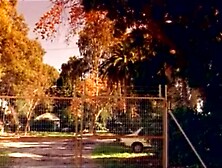 "Lust for Frankenstein" (1998)