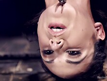 Big Tits Tormented in Demented Device