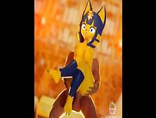 Ankha Compilation