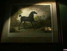 Sorority babe fucks machines