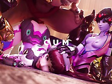 Stage 2 Sluts Hmv/pmv