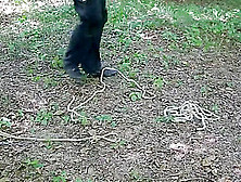 Luna tortured outdoor 3