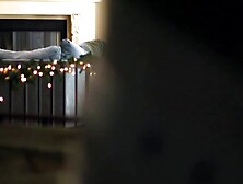 Stepson's Wife Gets A Hardcore German Lesson In Submission