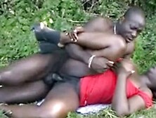 Euro Black Sex - Eva