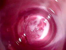 Camera Deep Inside Mia's Tight Creamy Pussy,  Internal View