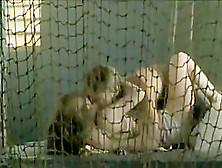 Josefine Preuss - Küss mich,  Genosse! (2007)