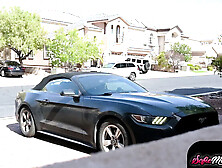 Sofie Marie Cheating Wife Teased and Takes BBC from Solo The Bull