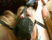 Anal masturbation for sensual Alyssa Branch