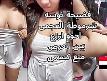 The dirtiest Egyptian sex scandal,  Nosa,  the whore of Ajami,  with the Tonayeh driver.  Oh,  you pimp,  your vagina,  fuck my cunt,  I