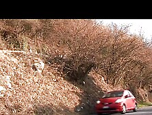 Cronache di un Vecchio Porco (Full Movie)