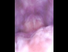 Let me lick your wang inside my tiny mouth INTERNAL WEB CAMERA