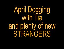 April Dogging with Tia - xHamster. com