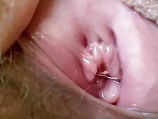 Close up big clitoris