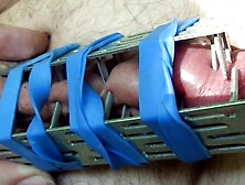 Nailplates for Switch Willy's penis by CBT Louis