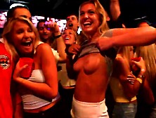 Thrilled dolls are partying all night lengthy and many of them are even getting plumbed rock-hard