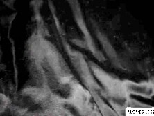 Step-Mother's Ass Fucked By Stepson In A Steamy Shower