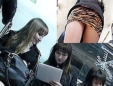 Livecam Up College Beauties Skirts