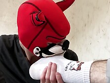 The puppy licks the feet and sucks the top's large penis