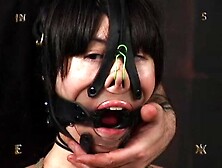 831 Asian Insex Test