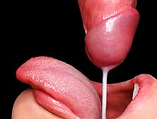 CLOSE UP: Best Milking BLOWJOB in your LIFE,  All Cum in Mouth,  Sloppy Sucking Dick ASMR