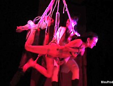 Brutal BDSM gangbang orgy in neon with a lot of crazy sluts