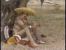 Vicente Fernandez: Para Que Seas Feliz