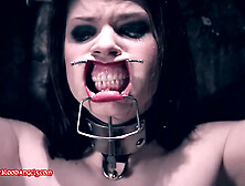 Bound Blonde Brunette Toyed