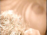 Passion Princess 1991