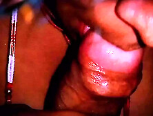 Honeymoon celebrated with sister-in-law,  sucked at night