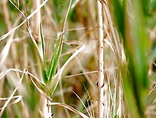 A thin chick bastards from delicate penetration with a boyfriend