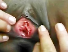 Darksome haired anal whore enjoys anal games with toys