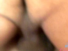 Chloe Temple & Sky Pierce are enjoying in a hot shag