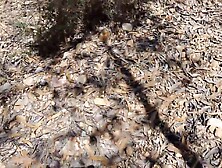 Fucking My Step mothers Friend In A Forest Outdoor