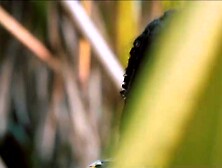 Deadly Games Strangling