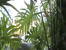 Tempting busty vixen lets a peeping tom bangs her pussy after sh