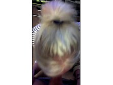 Golden-Haired Ex-GF Takes Biggest Jizz Flow,  Compilation,  Re-Edit