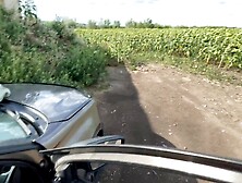 Fucked A Bitch In A Field Quickly,  Satisfied Milf Got Cum On Pussy,  Auto Sex