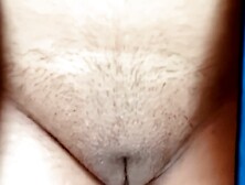 Desi Indian Hairy Pussy