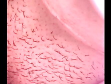 Đụ người dúp việc