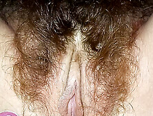 Macedonian Hairy Pussy