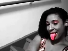 Caramel kitten-twerking on the stairs