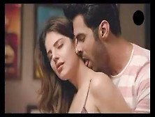 Desi Charming Lovers Hard Core Sex