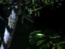 Lisa Langlois Breasts,   Butt Scene  in The Man Who Wasn'T There